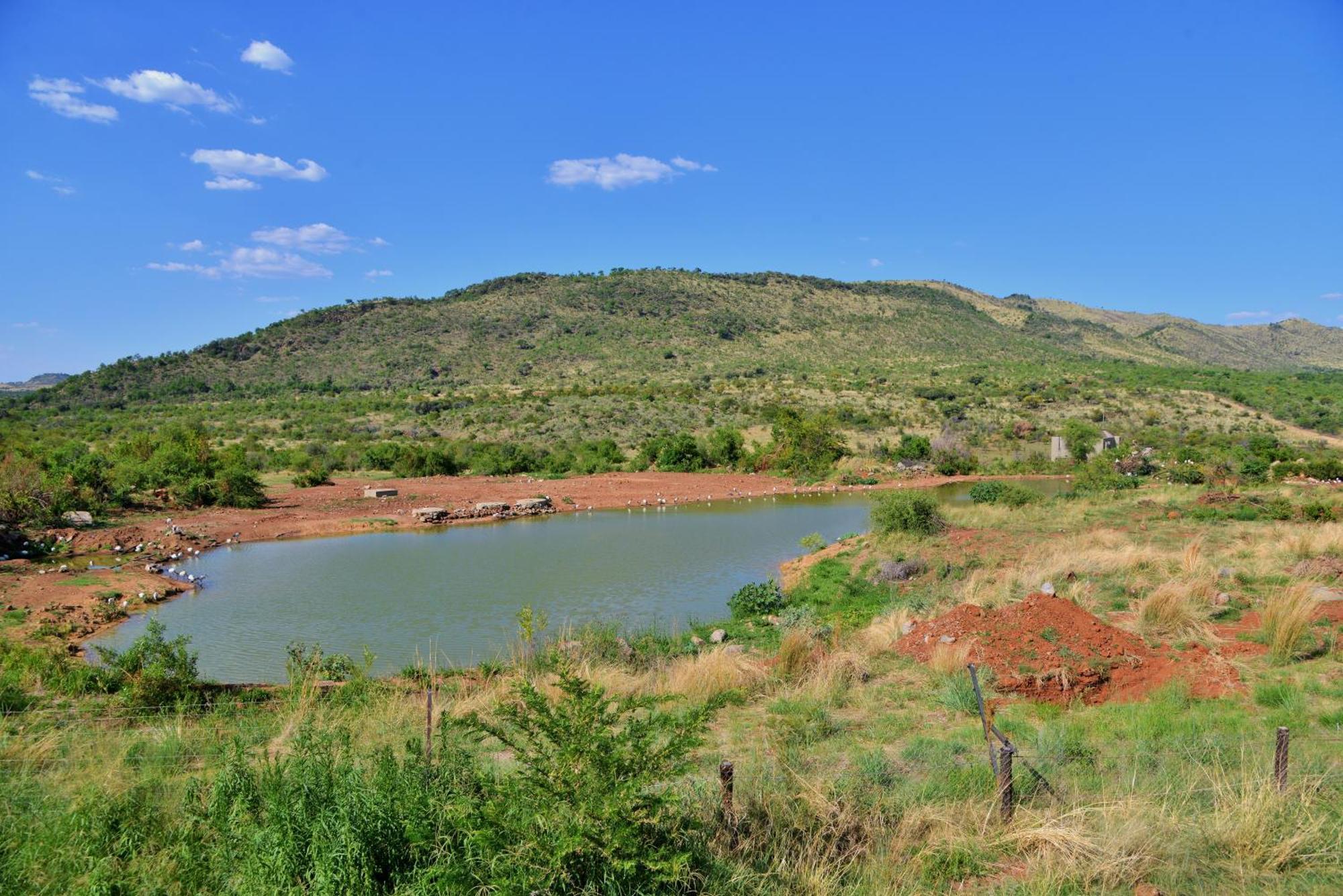 Bakubung Villas Pilanesberg Exterior photo